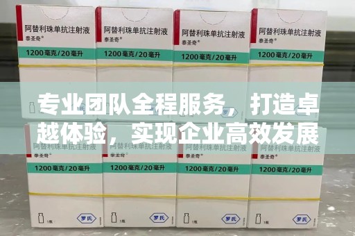 泉州专业团队全程服务，打造卓越体验，实现企业高效发展