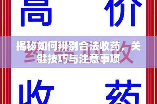 泉州揭秘如何辨别合法收药，关键技巧与注意事项
